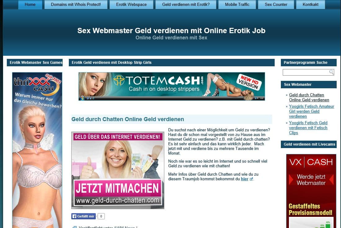 adult webmaster werden